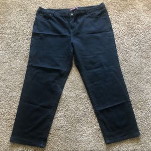 Gloria Vanderbilt Plus Stretch Blue Jeans